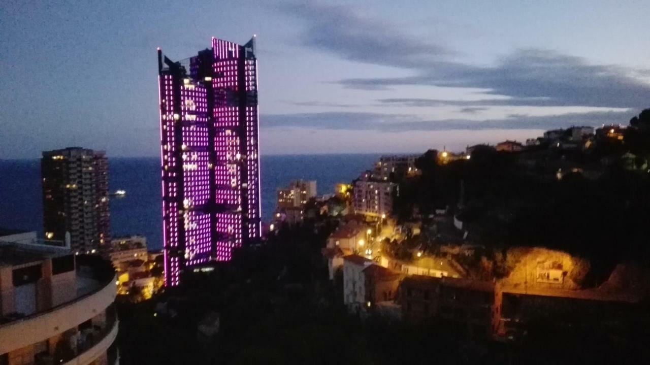 Near Monaco Apartment Beausoleil